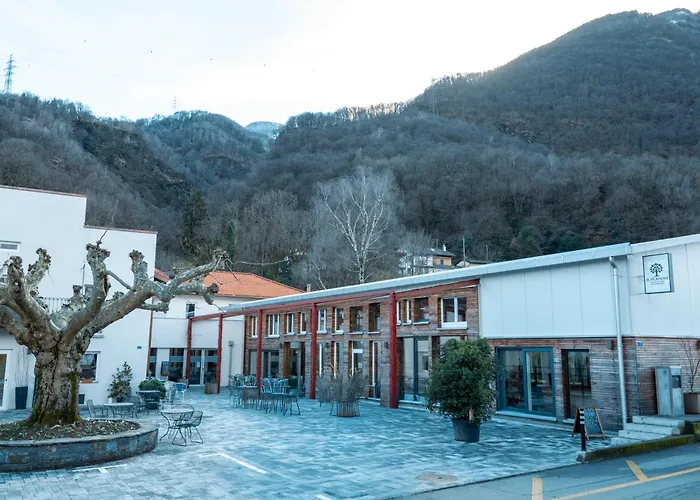 Il Platano * Quartino